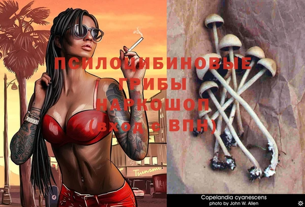 мяу мяу кристалл Надым