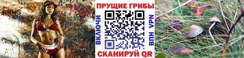 ссылка на мегу как зайти  Кириллов  Псилоцибиновые грибы GOLDEN TEACHER 